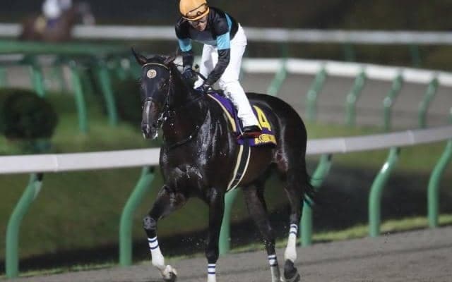 【盛岡・マイルCS南部杯枠順確定】アルクトスは大外8枠16番、サンライズノヴァは2枠3番