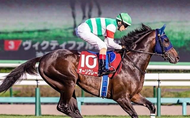 【次走】セントライト記念3着のオーソクレースが帰厩　菊花賞に向けて調整