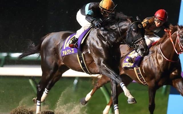 【マイルCS南部杯】昨年覇者のアルクトスが最終リハ 　栗田師「条件はいいし、楽しみです」