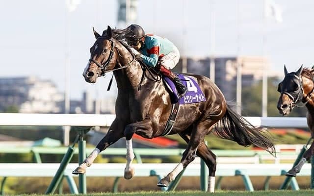 史上初の父系4代JRA・GI制覇について/島田明宏