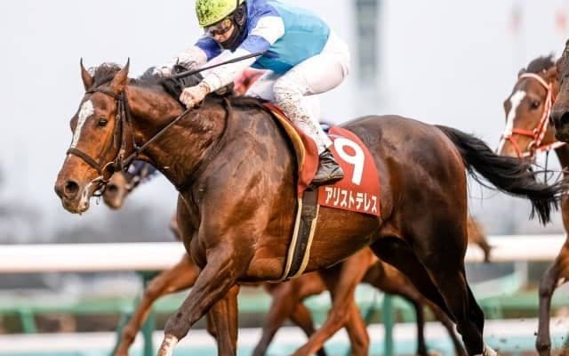 【京都大賞典予想】今年は阪神開催！ 関連の強い宝塚記念組は!?/JRAレース展望