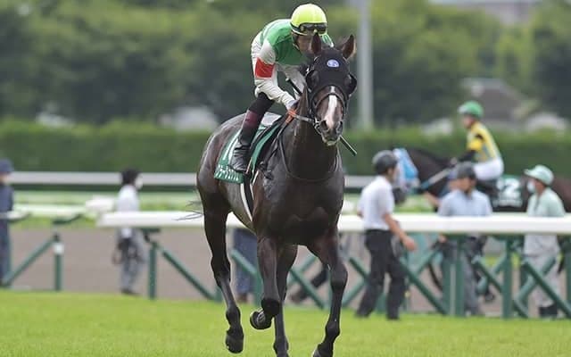 【JRA】急死のクラージュゲリエが7日付で登録抹消、2018年京都2歳S覇者