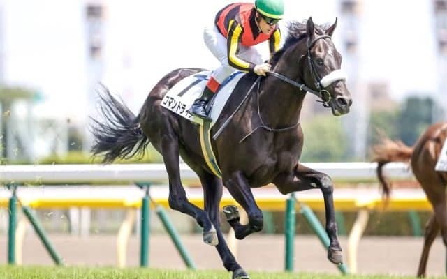 【サウジアラビアロイヤルC予想】今年の注目はサンデーレーシング!?/JRAレース展望