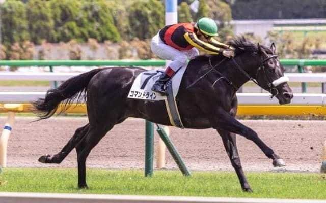 【本日の注目ポイント】東京・阪神・新潟開催がスタート！2歳重賞・サウジアラビアRC