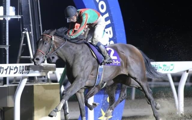 【門別・エーデルワイス賞枠順確定】スピーディキックは6枠10番、レディーアーサーは7枠11番