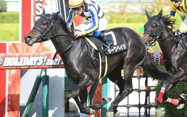 【りんどう賞結果】5番人気ダークペイジが押し切って無傷2連勝