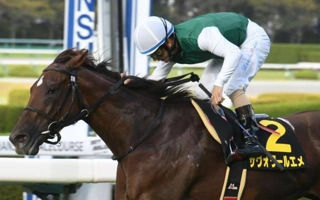 【オパールS結果】サヴォワールエメが昇級初戦を押し切る