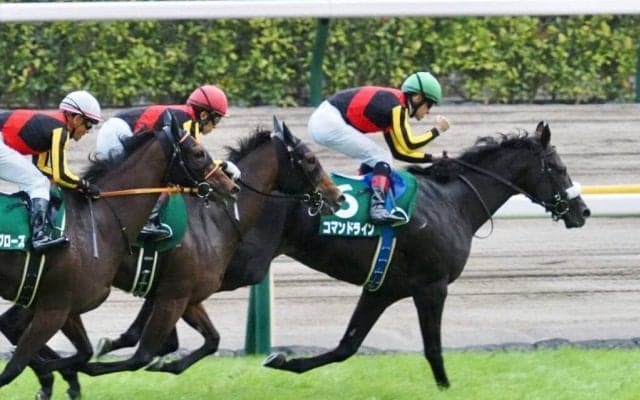 【サウジアラビアRC】コマンドラインが人気に応える