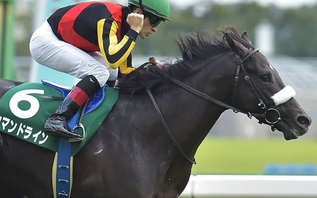 【サウジアラビアRC】3連複190円はJRA重賞最低配当タイ、7頭立て7着まで人気順決着