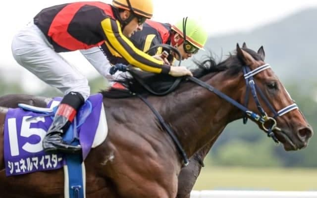 【毎日王冠前日オッズ】3歳馬シュネルマイスターが2.8倍で1番人気
