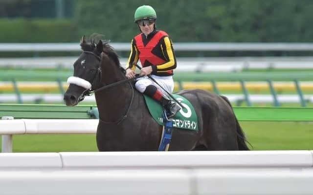 【万哲の馬場予報】開幕週らしく前有利の傾向、好位で運べる馬が有利だろう