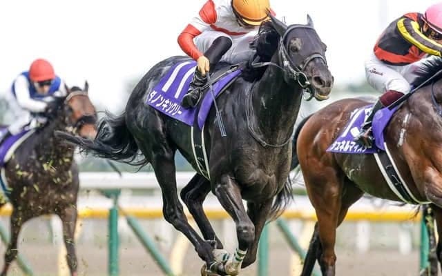 【WIN5予想】毎日王冠はコース適性や近走成績が重要