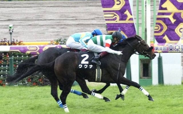 【山中湖特別】断然人気のククナが2勝目