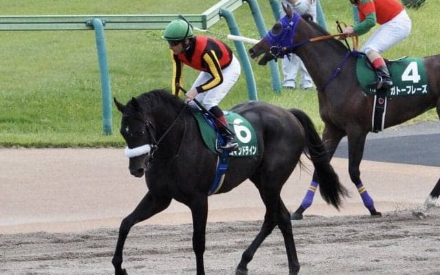 【サウジアラビアRC】ルメール「クラシックでとても楽しみ」コマンドラインが2連勝