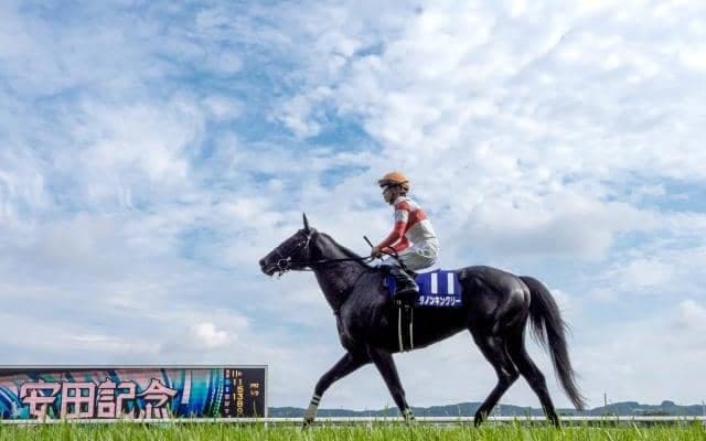 【本日の注目ポイント】東京で毎日王冠、阪神で京都大賞典