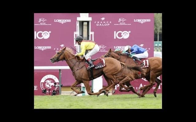 毎日王冠のサイン馬券は岸田内閣発足。「100」つながりの凱旋門賞にもヒントあり!?