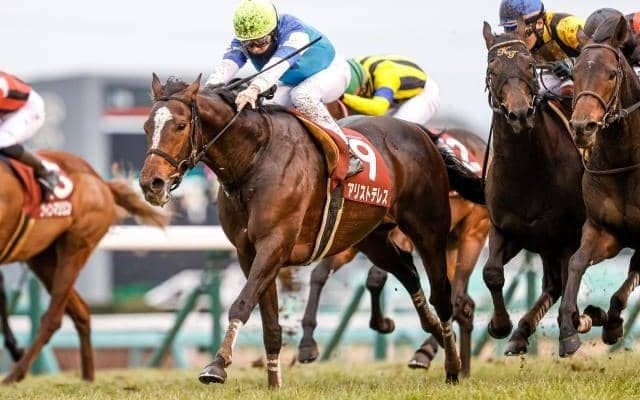 【京都大賞典予想】重賞で好走経験がある馬が圧倒的な別定重量のGII戦