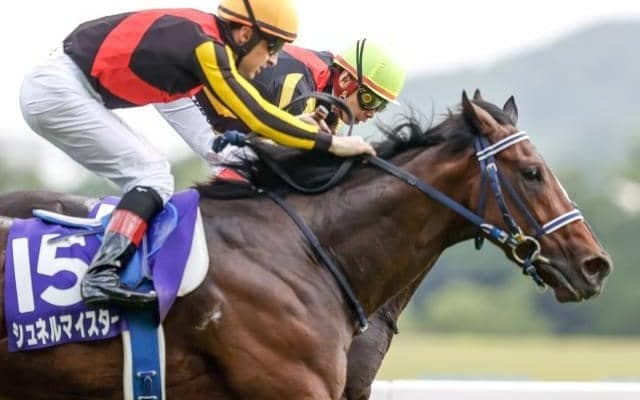 【毎日王冠予想】マイル路線にも太く繋がる秋の天皇賞前哨戦