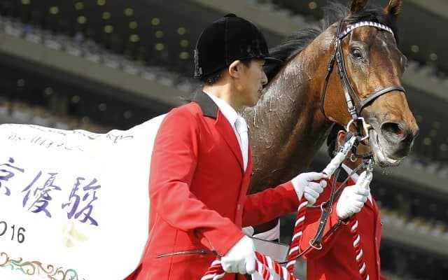 【京都大賞典予想】AIが注目したのは5年ぶりの勝利狙うマカヒキ