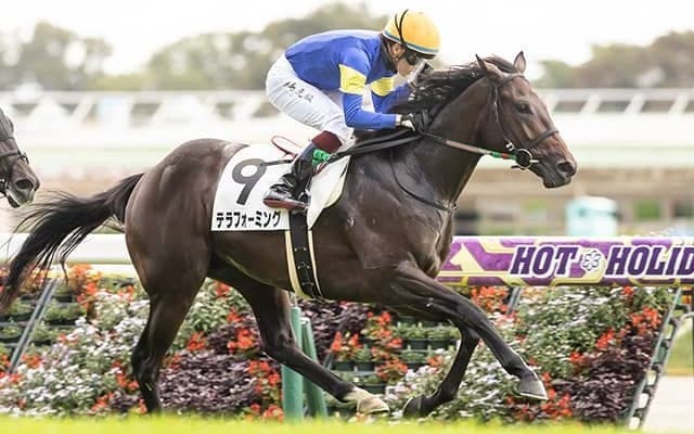 【東京5R新馬戦結果】テラフォーミングがV、鮫島克駿騎手の代打騎乗