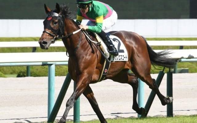 【阪神5R新馬戦結果】M.デムーロ騎手騎乗タガノエスコートが押し切りV