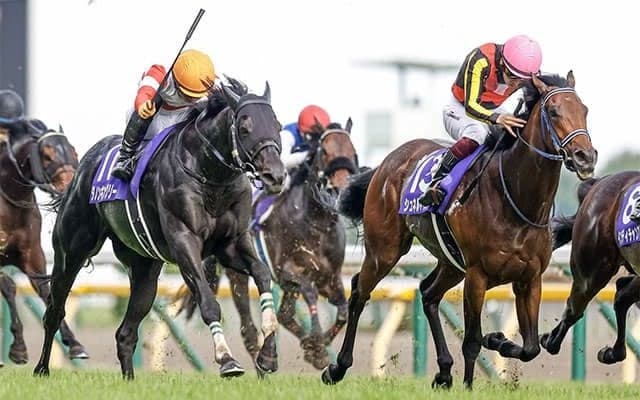 【毎日王冠・馬体重】ダノンキングリーは458kg(+2)、シュネルマイスターは482kg(+8)