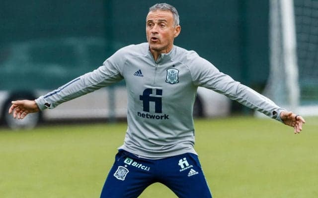 スペイン代表ルイス・エンリケ監督、フランス代表を「世界最高のチーム」と称えるも「可能な限りのことをする」と意欲