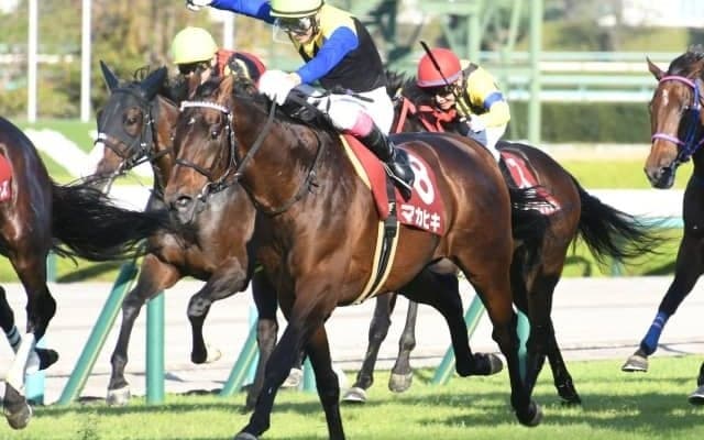 【京都大賞典結果】マカヒキが5年ぶりの美酒！アリストテレスとハナ差の接戦を制す