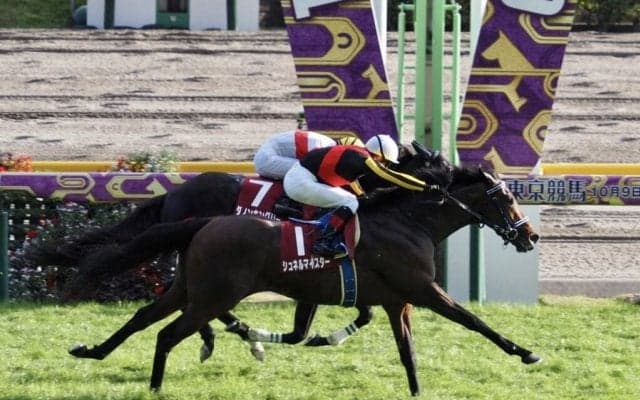 【毎日王冠】3歳シュネルマイスターが勝利！レースはG1ファンファーレで行われる