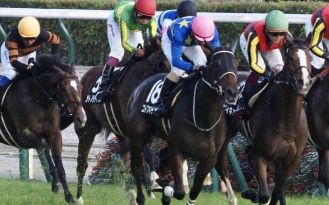 【六社S】コトブキテティスがオープン入り