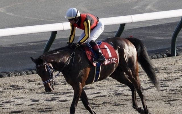 【毎日王冠】ルメール「今日はプレッシャーをかけなかった」3歳シュネルマイスターが豪快な差し切り