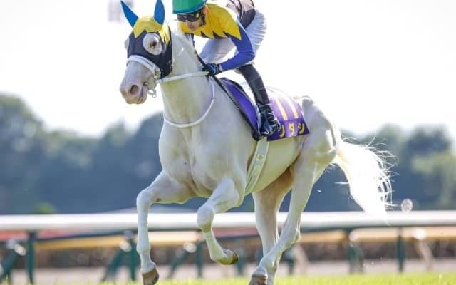 JRAはGI秋華賞、地方はJpnIマイルCS南部杯/今週の競馬界の見どころ