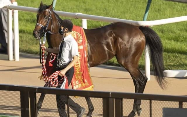 【毎日王冠】売上は66億5376万9600円で昨年からおよそ6.6億円の増加