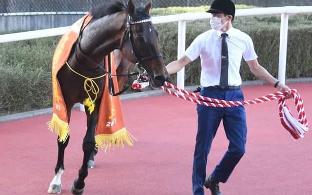 【京都大賞典】売上は54億4721万5900円で昨年からおよそ7.8億円の減少