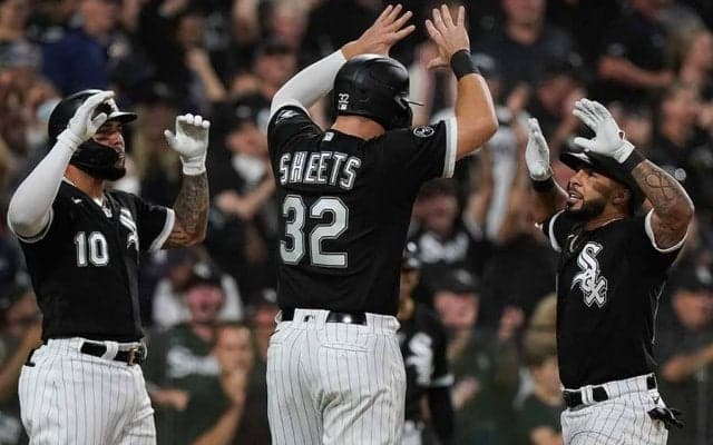 【MLB 地区S】ホワイトソックスが雪辱　16安打12得点の猛攻で4点差逆転勝ち、1勝2敗に