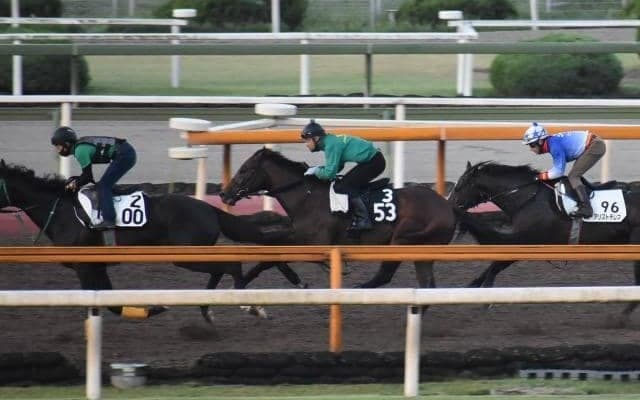 ミッキーロケット半弟グルアガッハが幸英明騎手でデビュー/関西馬メイクデビュー情報