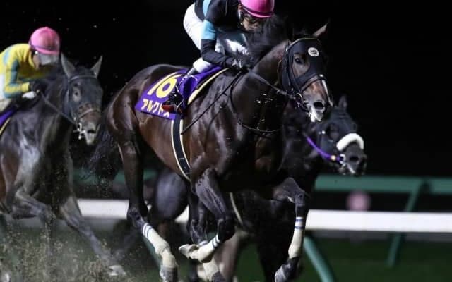 【盛岡・マイルCS南部杯結果】アルクトスが貫録の押し切りで史上7頭目の連覇達成！