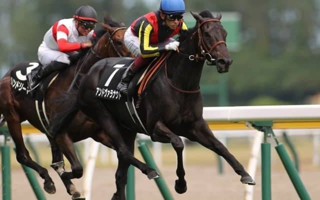 【秋華賞予想】AI予想はソダシではない上位馬指名！ ちょい波乱の秋華賞の主演牝馬は誰になる？