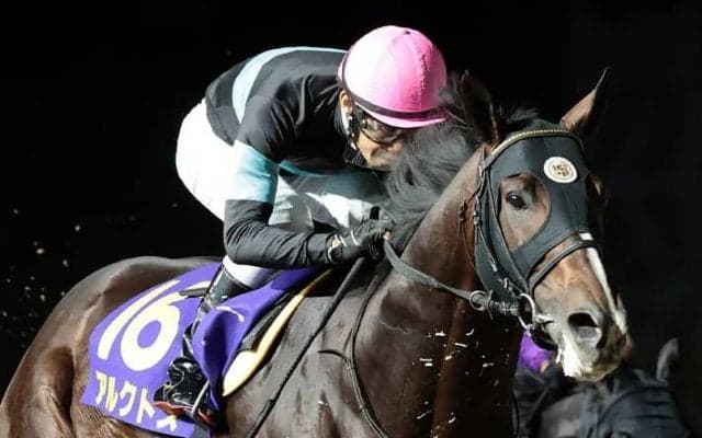 【南部杯】田辺「プレッシャーはありました」アルクトスが連覇