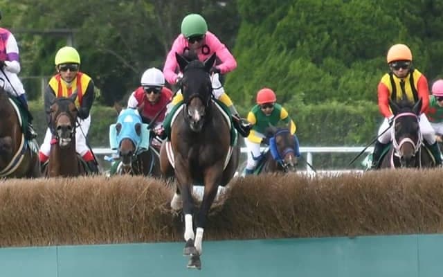 【東京ハイジャンプ想定騎手】アサクサゲンキは熊沢重文騎手、オジュウチョウサンは石神深一騎手