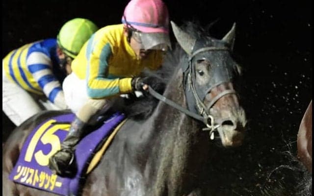 【南部杯】戸崎「調子は取り戻している」レース後ジョッキーコメント