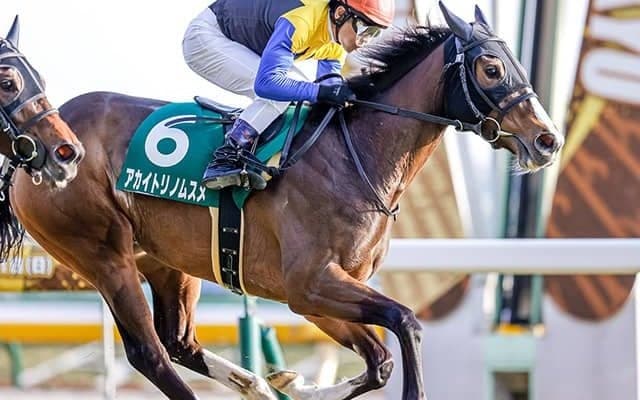 【秋華賞 注目馬】アカイトリノムスメ虎視眈々　最後の1冠で母子制覇狙う