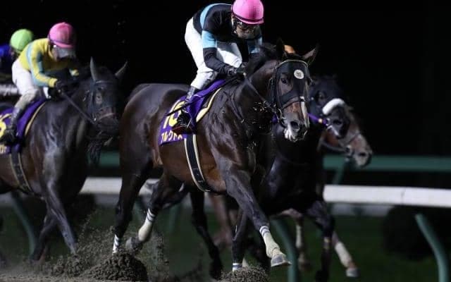 【マイルCS南部杯回顧】馬場枠順絶好の展開でアルクトスが連覇/斎藤修