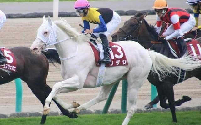 【秋華賞予想オッズ】ソダシが予想1番人気、アンドヴァラナウトが続く