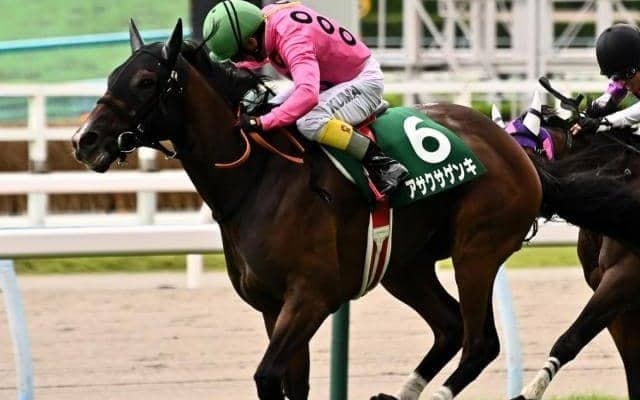 【東京ハイジャンプ予想オッズ】アサクサゲンキが予想1番人気、半年ぶりのオジュウチョウサンが続く