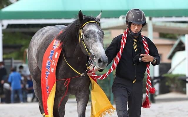 地元馬トミケンシャイリが価値ある1勝を挙げ“名古屋三冠”達成！