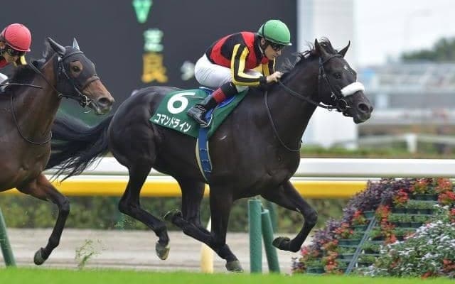 サウジアラビアRC覇者のコマンドライン　来年のクラシックを見据える