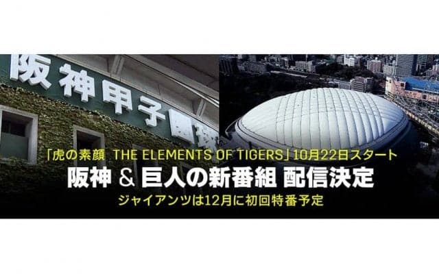 DAZNと阪神がコラボ　独自映像でチームに迫る新コンテンツを22日から独占配信