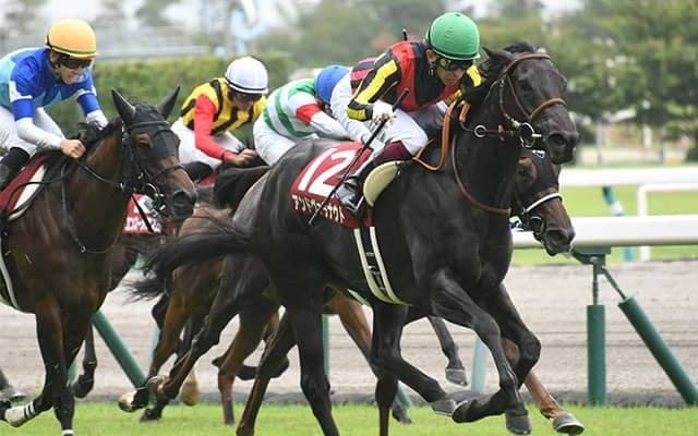 【AI予想】ソダシが人気を集めそうな秋華賞で“連軸として狙う分には妙味ある1頭”を検証