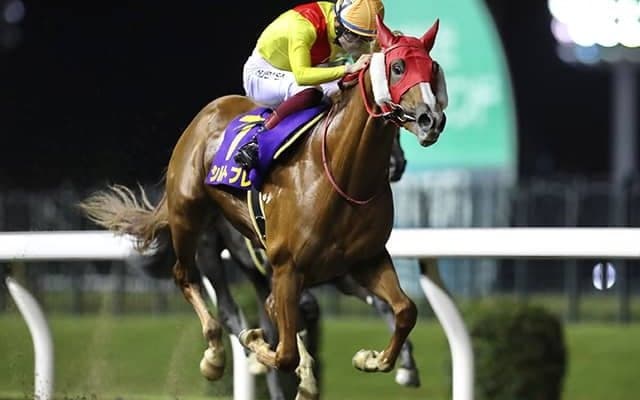 【川崎・鎌倉記念結果】道営所属のシルトプレが押し切って重賞初V